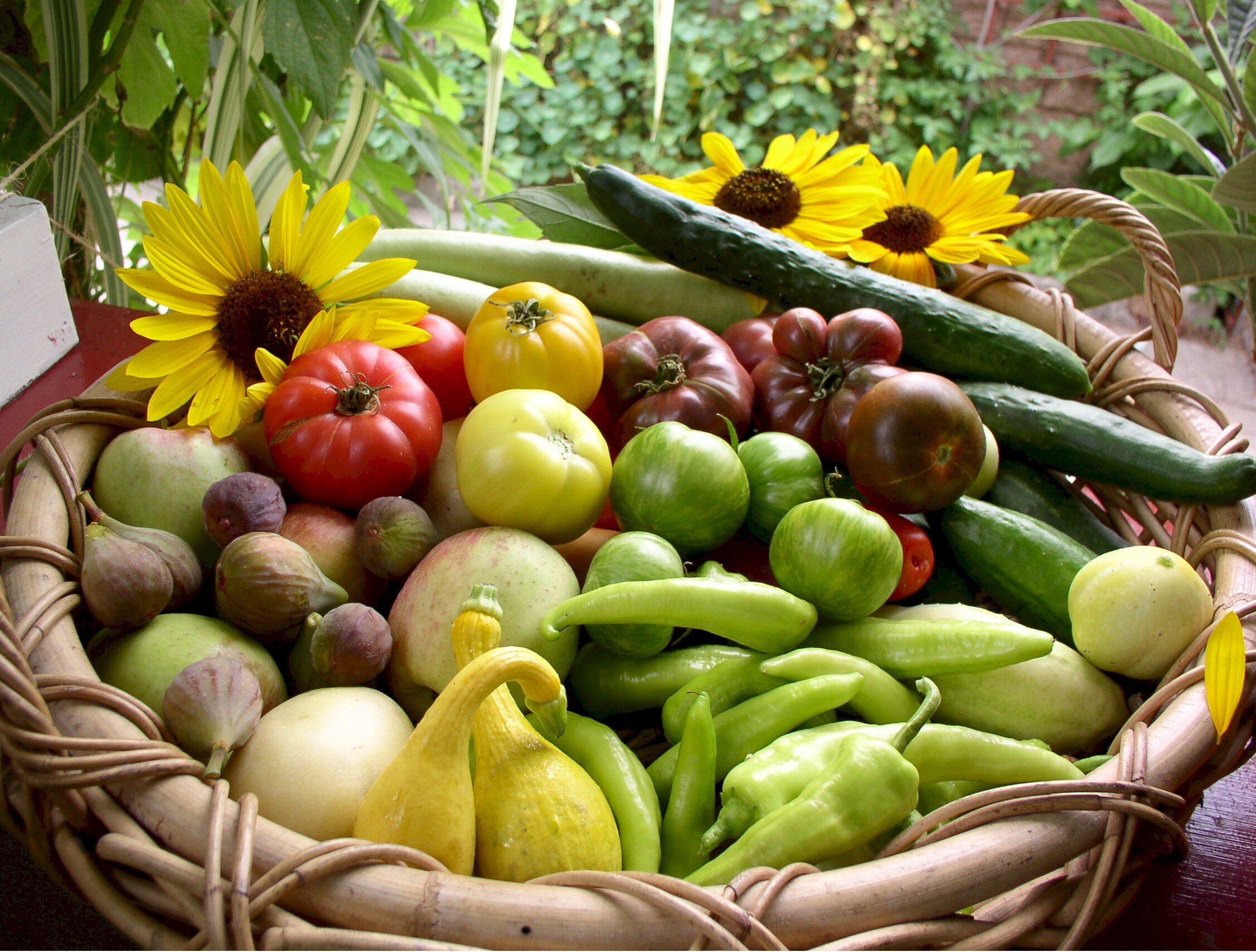 Dervaes+Institute+-+Harvest2 Colorful basket filled with a variety of fresh vegetables and fruits, including tomatoes, cucumbers, apples, figs, and squash, complemented by vibrant sunflowers, showcasing a bountiful harvest.