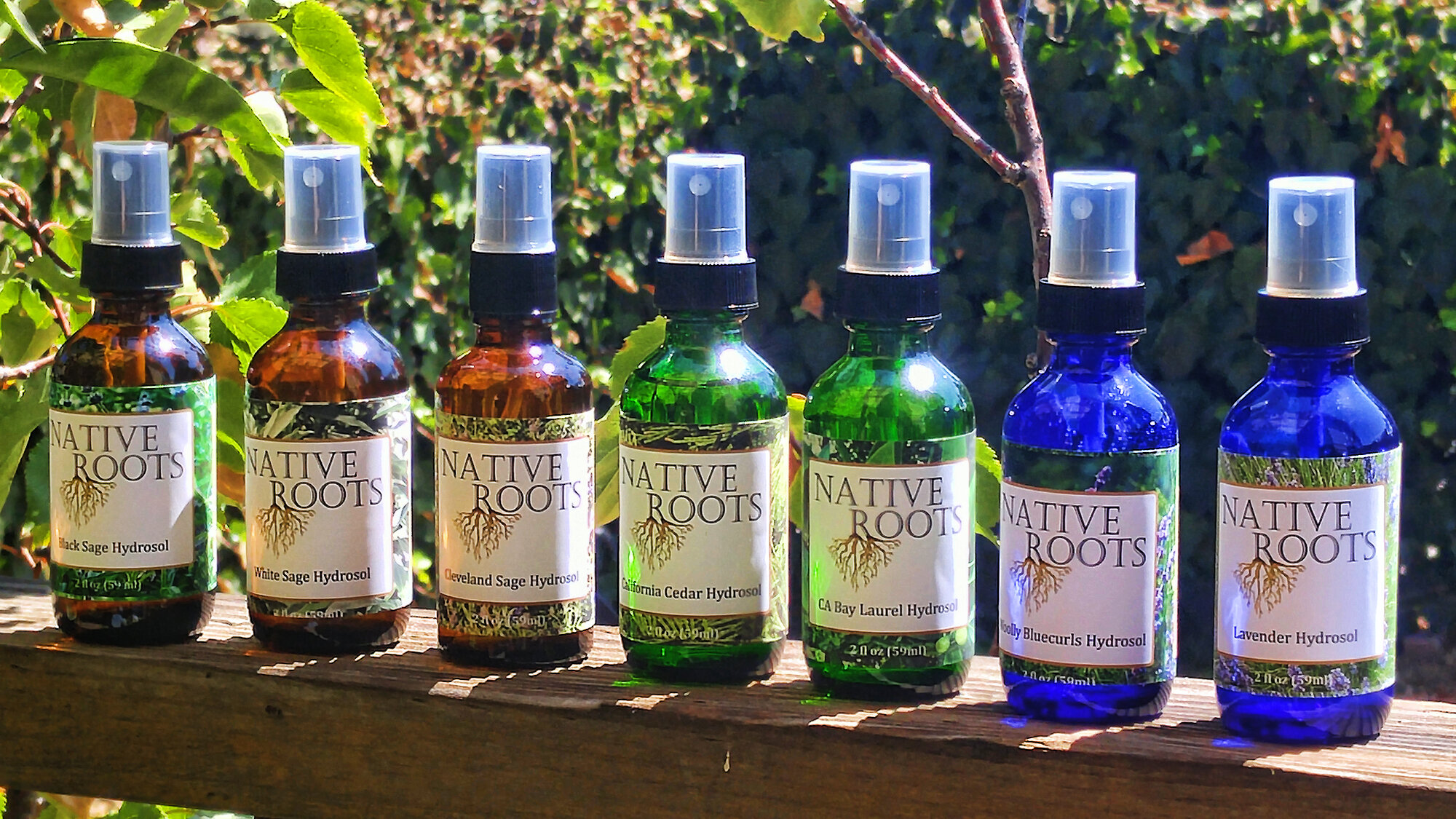 Dervaes+Institute+-+Hydrosols+2 Collection of Native Roots hydrosols displayed on a wooden surface, featuring Black Sage, White Sage, Cleveland Sage, California Cedar, CA Bay Laurel, Woolly Bluecurls, and Lavender varieties, surrounded by greenery.